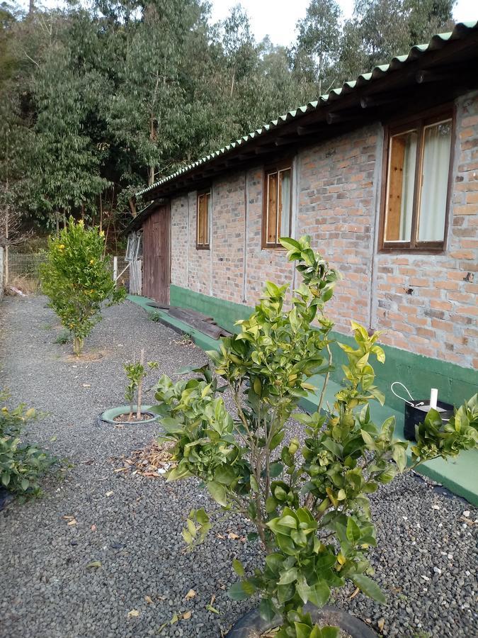 Casa Aconchegante Em Urubici Villa Dış mekan fotoğraf